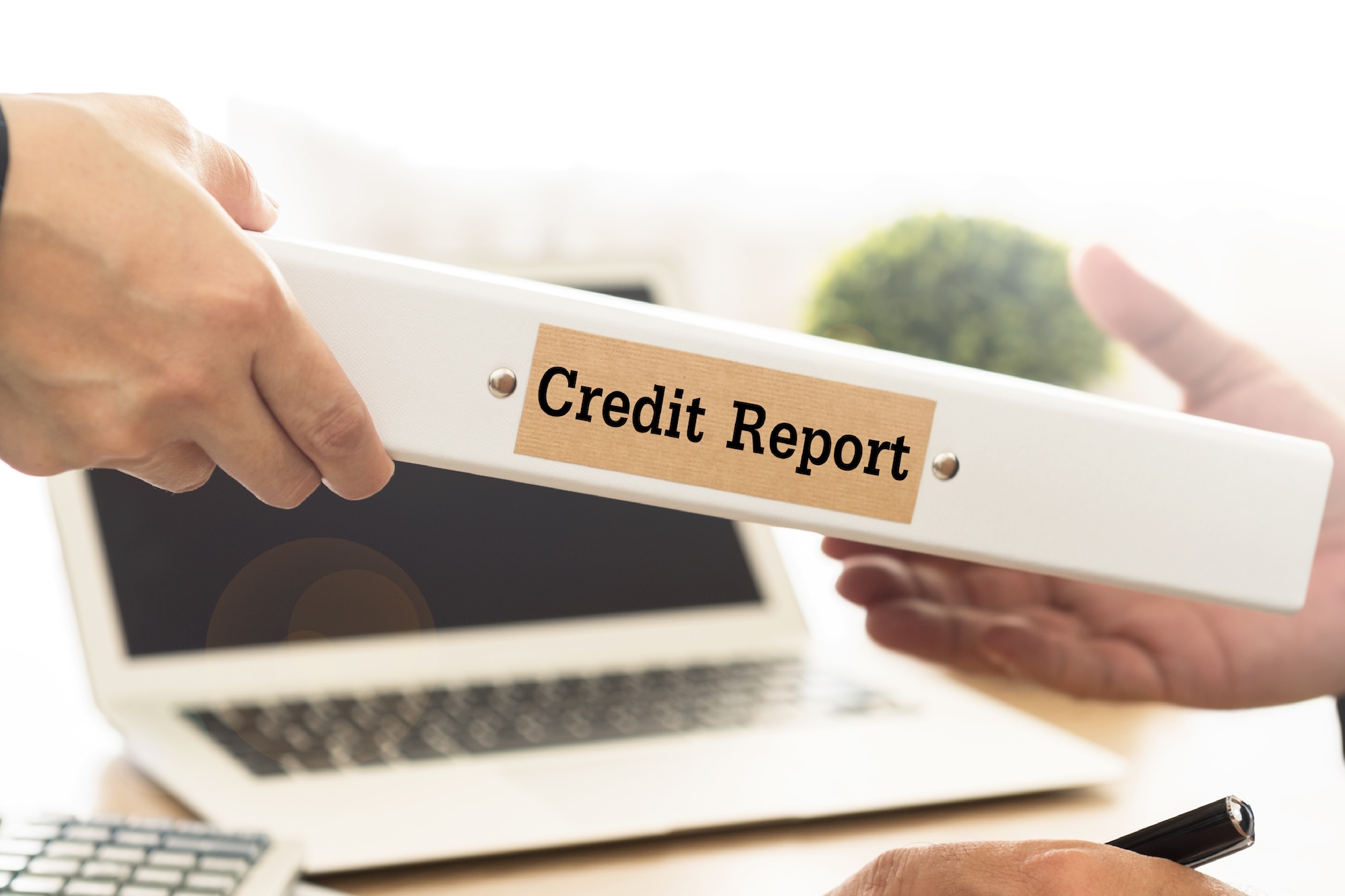 Check your credit bureau report for free online before applying for a credit card.jpg